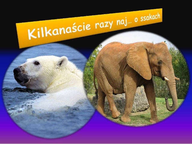 Kilkanaście razy naj o ssakach