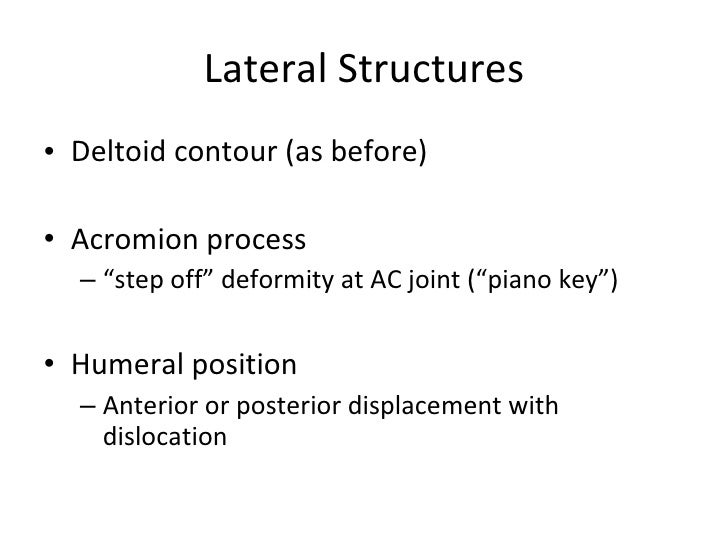Kin 191 B – Shoulder Anatomy And Evaluation