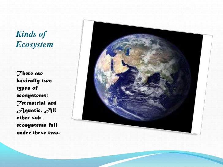 types of ecosystems