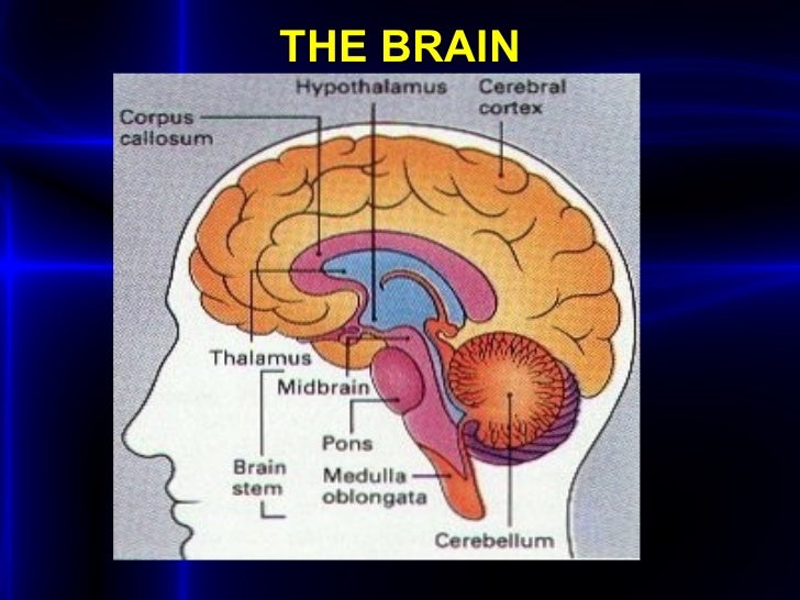 kkkkkkkkkkkkkkkkkkkkkkkkkkkkkkkkkk superbrain yoga