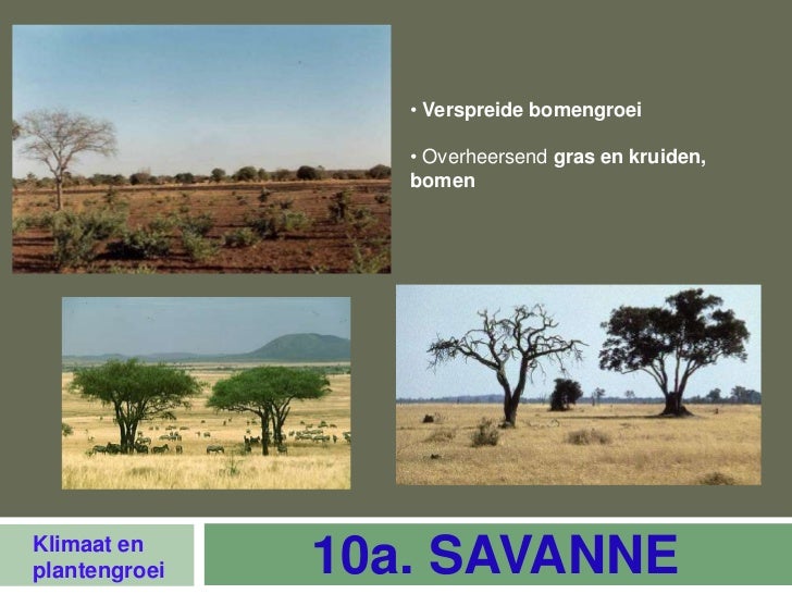 Klimaat en plantengroei