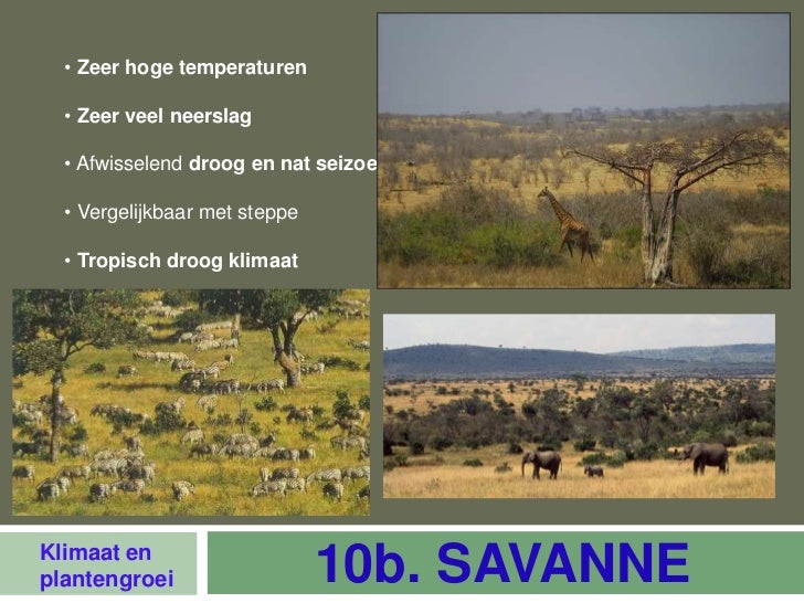 Klimaat en plantengroei