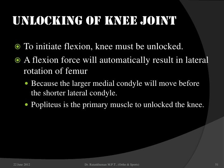 Knee biomechanic