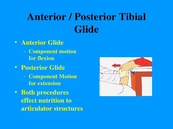 Knee Mobility Lecture