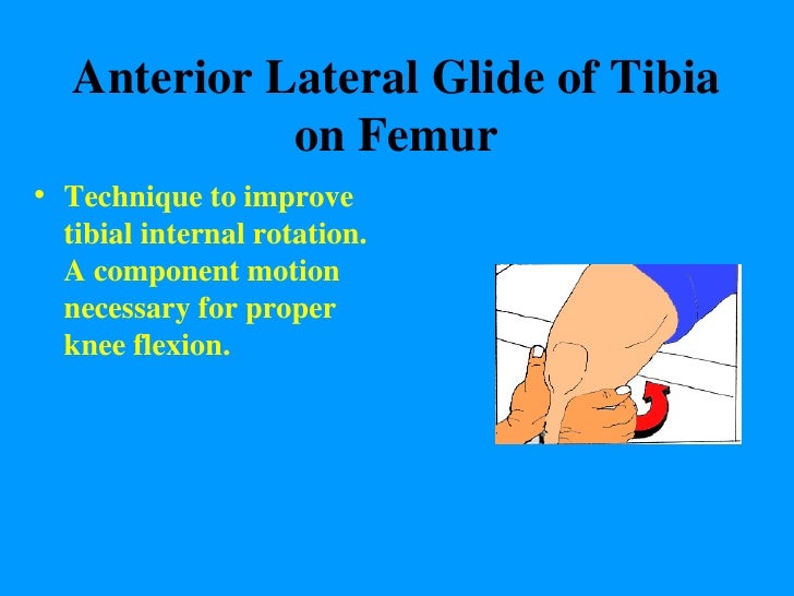 Knee Mobility Lecture