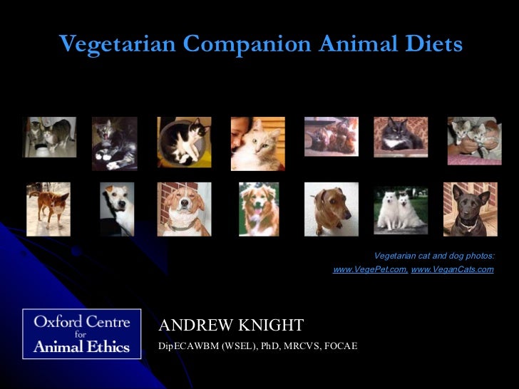 close validation messages success message fail message check your bulk