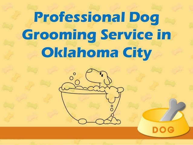 Dog Grooming Ringwood Area Dog Grooming Ringwood Area