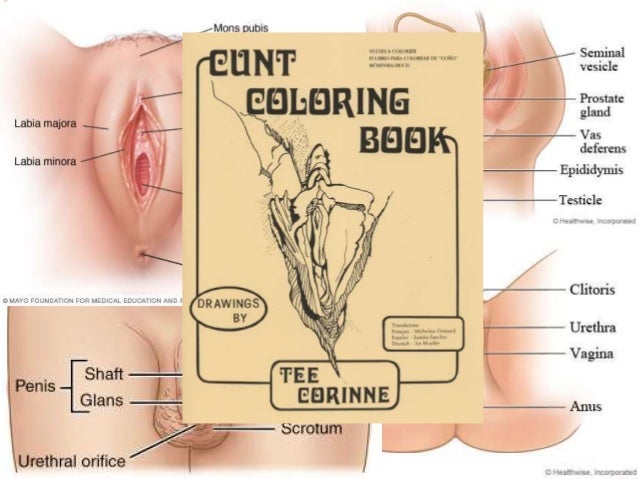 Anatomic sex in different places 1960s vintage 6