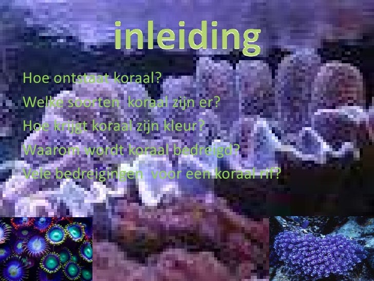 Koraal