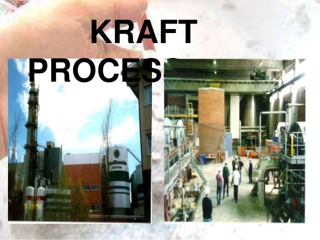 Kraft process