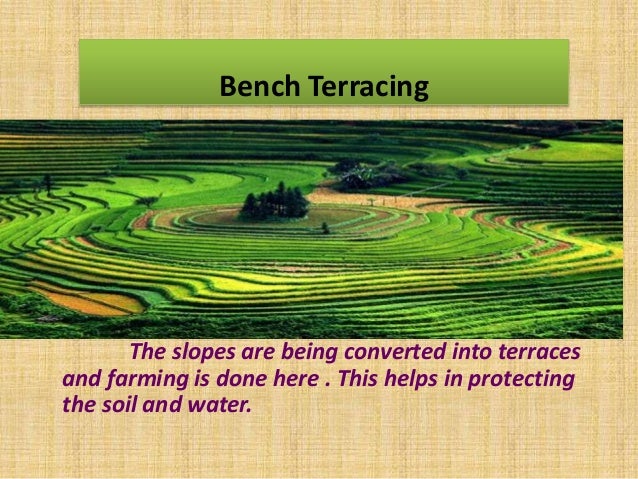 Stone Pitched Bunds
In this method a stone wall is constructed
across the slopes which allows the soil to settle
down form...