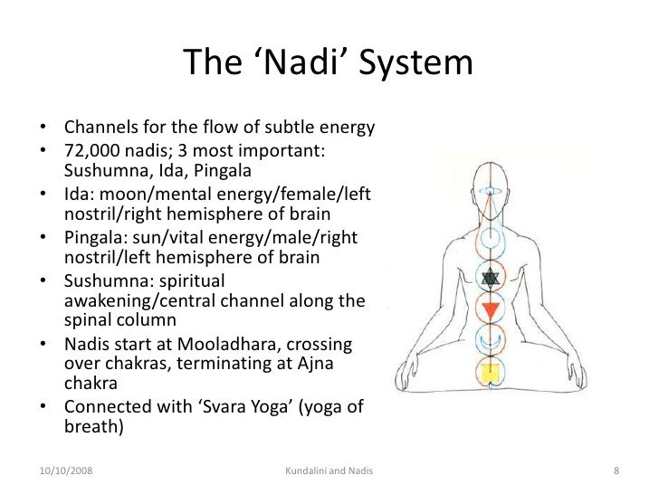 Kundalini And Chakras