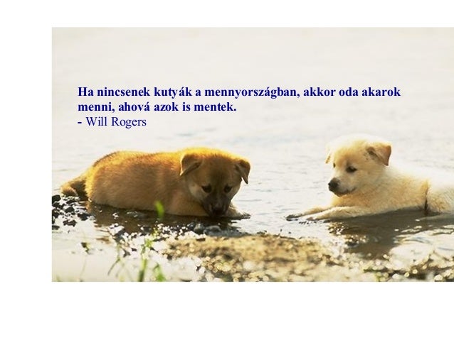 Kép