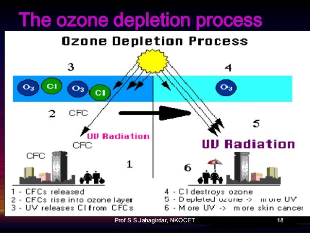 Ozone Depletion Essay