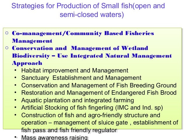 brood management of indian major carps 2015-12-10 iosr journal of environmental science, toxicology and food technology (iosr-jestft) e-issn: 2319-2402,p- issn: 2319-2399 volume 1 issue 6, pp 33-37 wwwiosrjournalsorg swami shri swaroopanand saraswati mahavidyalya hudco. brood management of indian major carps 2015-12-10 iosr journal of environmental science, toxicology and food technology (iosr-jestft) e-issn: 2319-2402,p- issn: 2319-2399 volume 1 issue 6, pp 33-37 wwwiosrjournalsorg swami shri swaroopanand saraswati mahavidyalya hudco.