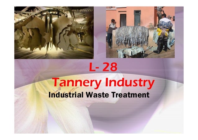L Tannery Industry l-tannery-industry