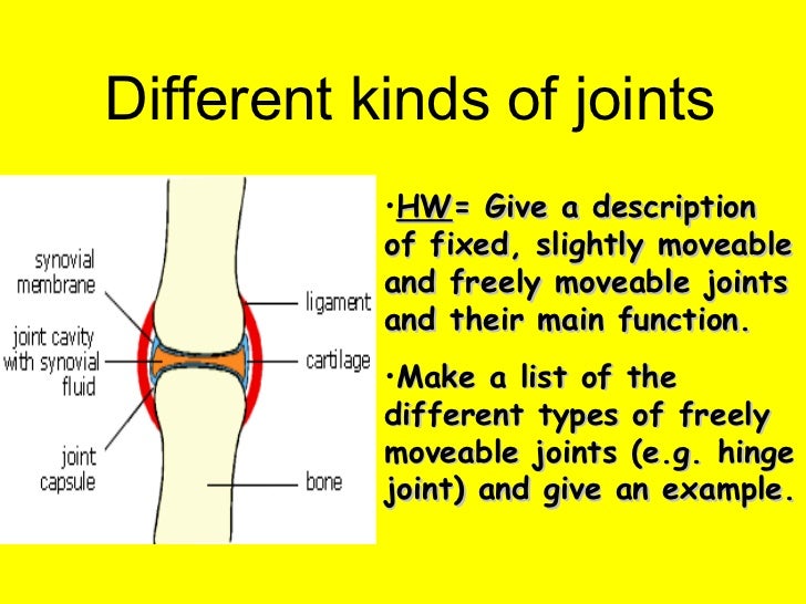 L10a Different Kinds Of Joints