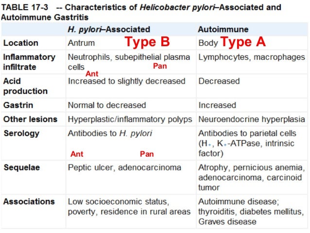 Helicobacter pylori: symptoms and treatment Helicobacter pylori: symptoms and treatment