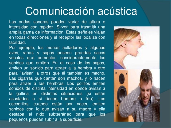 La evolucion de la comunicacion