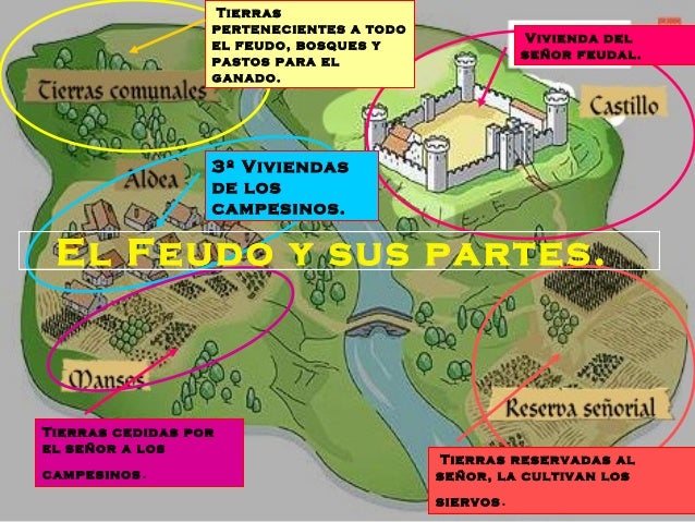 Feudo con sus partes - Imagui