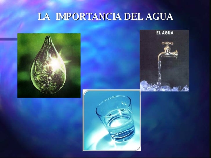 IMPORTANCIA DEL AGUA importancia del agua: