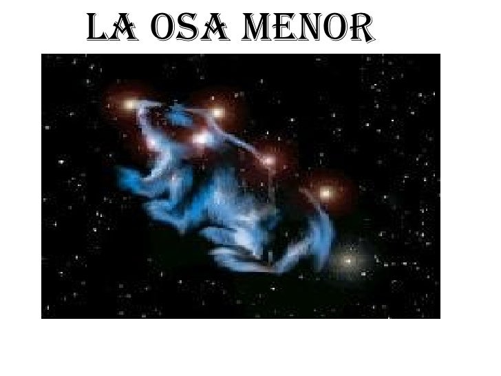 la osa menor la osa menor