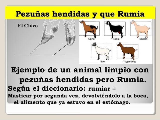 LA ALIMENTACION EN LA BIBLIA Y SUS BENEFICIOS