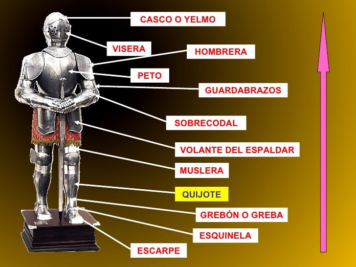cota resume