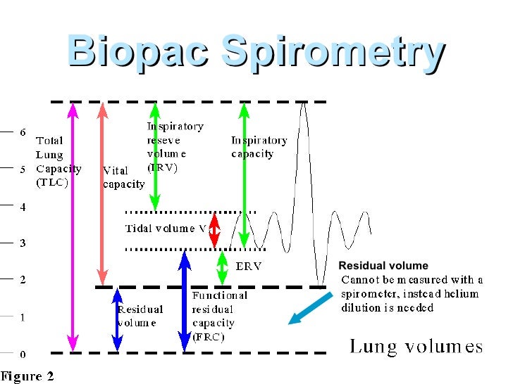 Lab 06 Spirometry