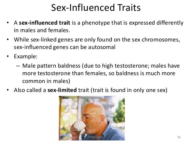 What is a sex influenced trait and sex limited trait