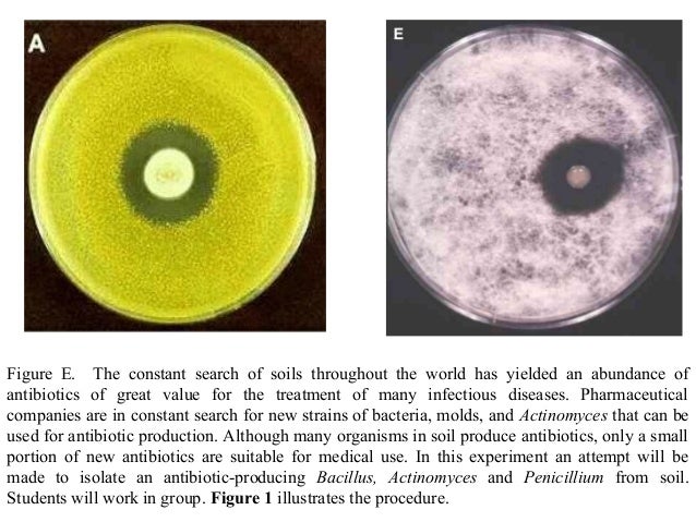 Chloromycetin A New Antibiotic From A Soil Actinomycete