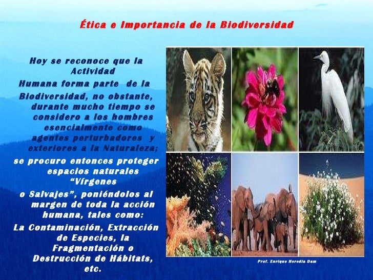 La biodiversidad y su importancia para el planeta