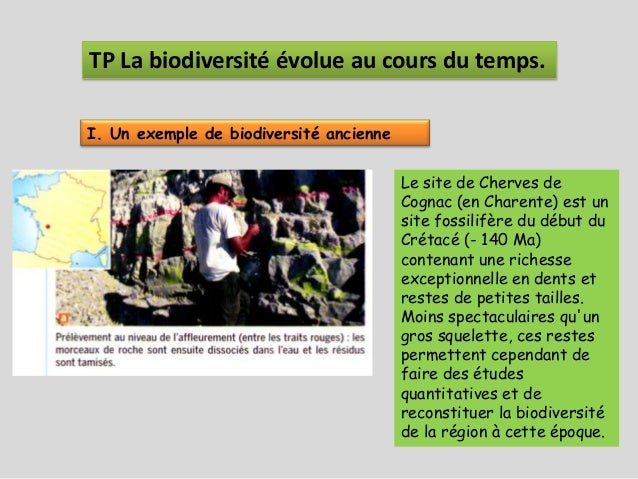 exemple de biodiversite ancienne