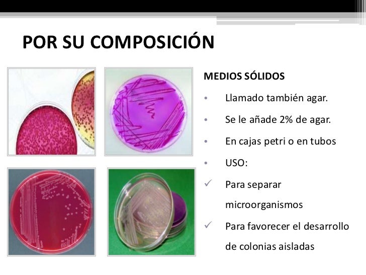 Laboratorio no. 3 medios de cultivo