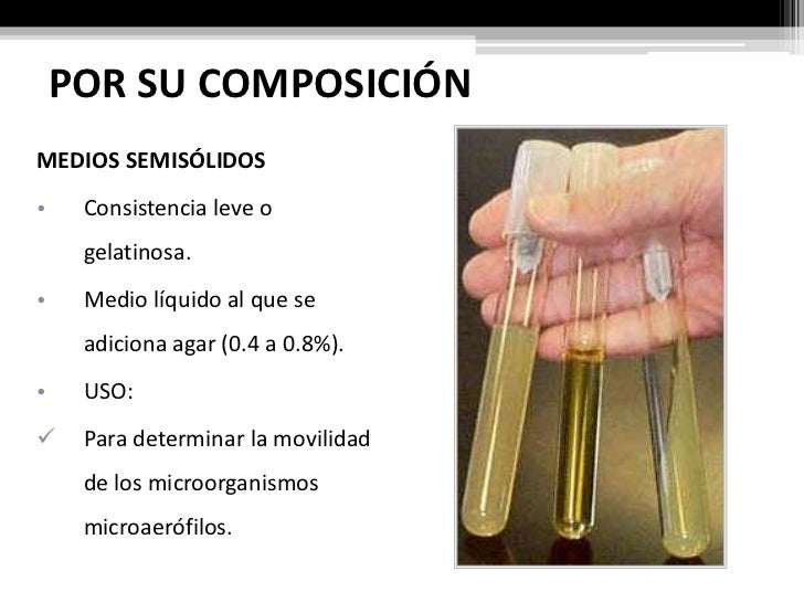 Laboratorio no. 3 medios de cultivo
