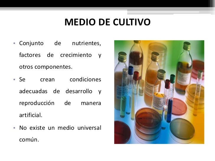 Medio De Cultivo Para Que Sirve
