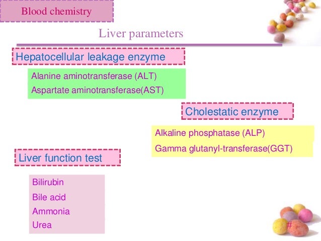 bile acid test dogs laboratory interpretation k k bile acid test dogs laboratory interpretation k k