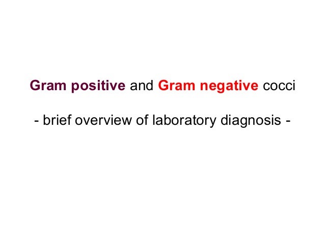 Will cipro cover gram negative rods Will cipro cover gram negative rods
