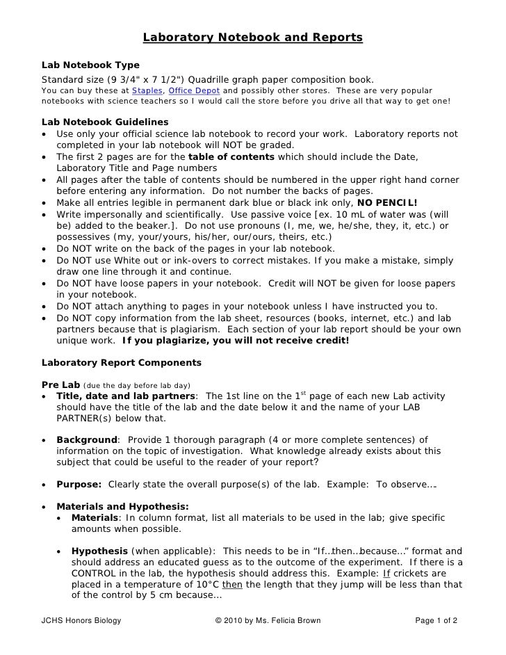 law essay example
