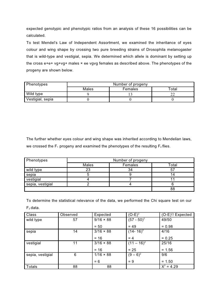 Ap biology mendelian genetics essay