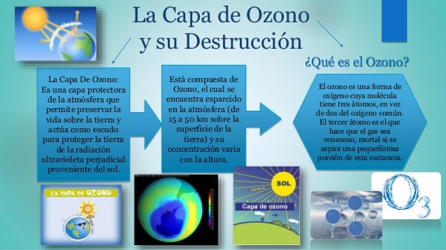 El régimen de pez para el adelgazamiento rápido