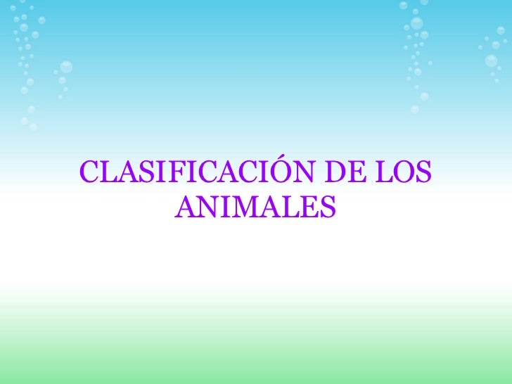 Animales viviparos concepto para niños - Imagui Animales viviparos concepto para niños - Imagui