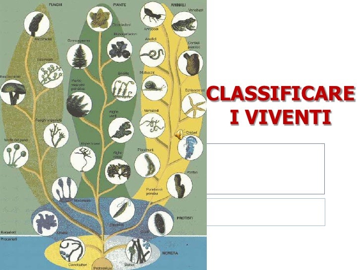 La Classificazione Dei Viventi