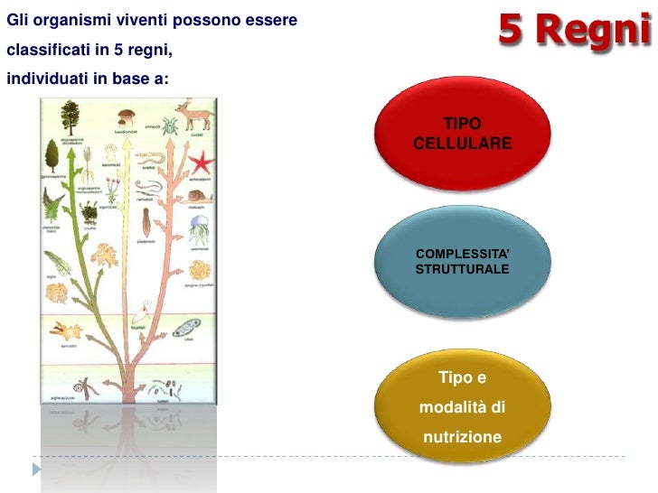 La Classificazione Dei Viventi