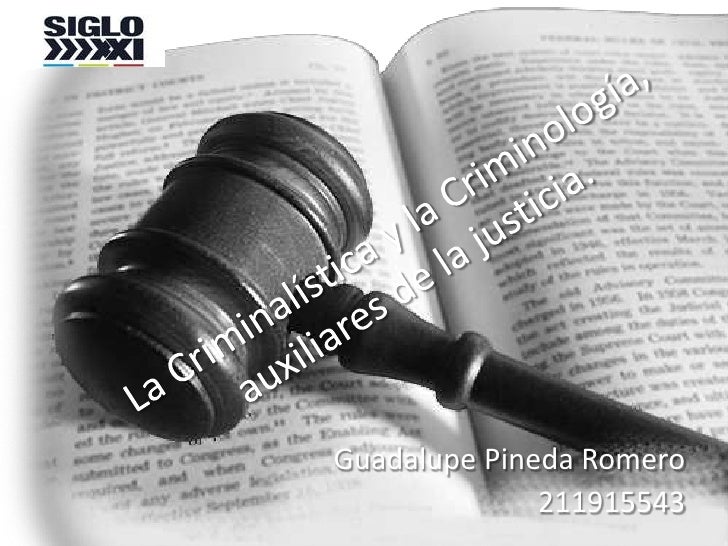 EN DERECHO PENAL QUE ES UN AUTOR en derecho penal que es un autor: