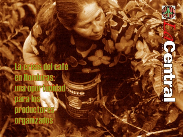 Cooperativas De Cafe Honduras Cooperativas De Cafe Honduras