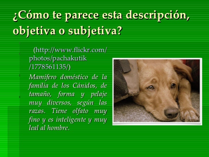 La Descripción La Descripción