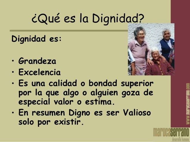 adult por adult por