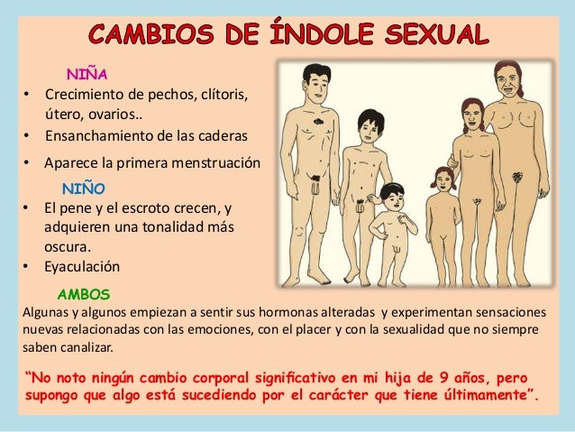 El miembro enorme en una pequeña muchacha delgada
