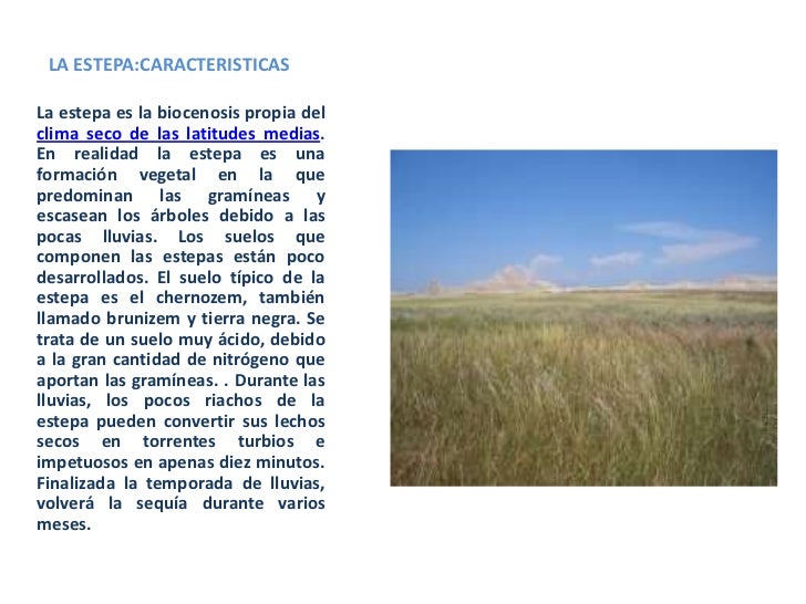 La estepa irene